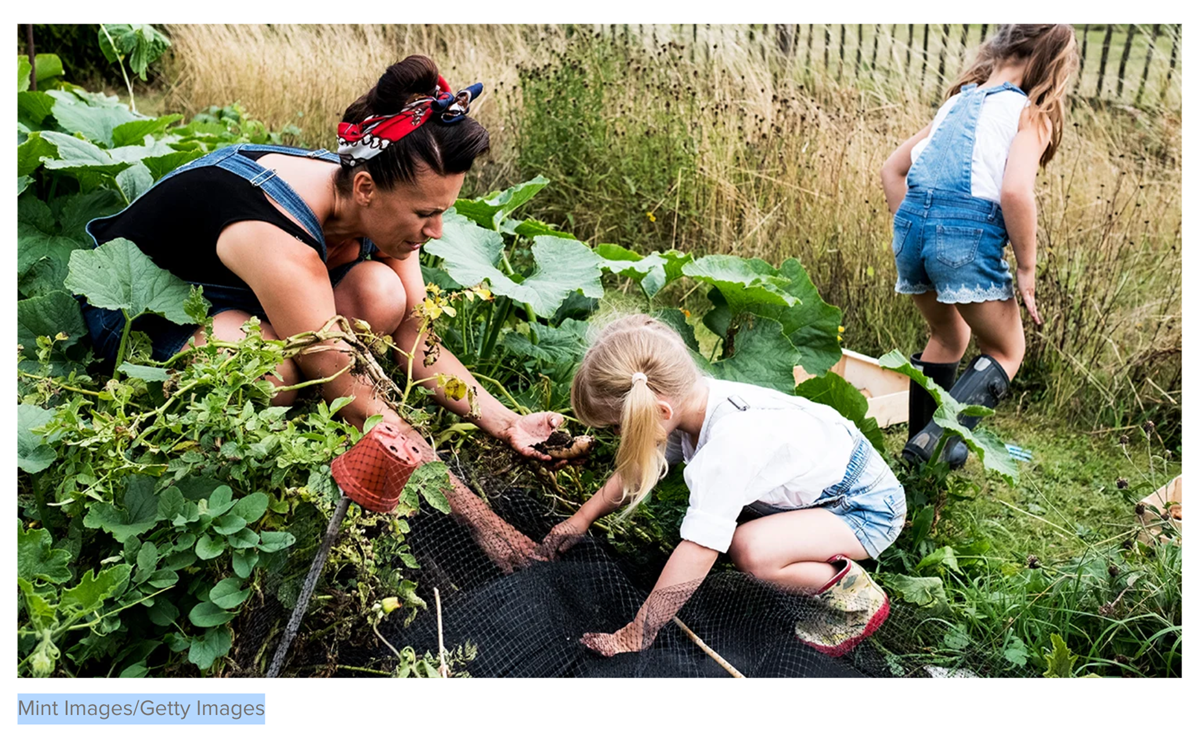 Family Gardening